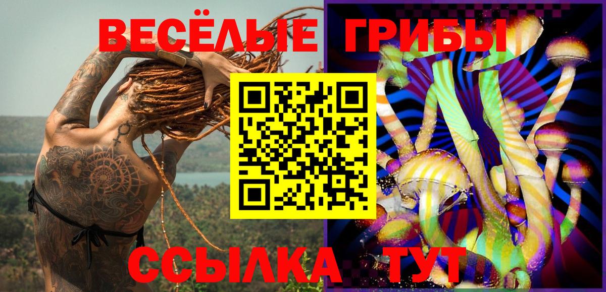 Галлюциногенные грибы Psilocybine cubensis  Псилоцибиновые грибы Cubensis  Прокопьевск  Вход с VPN 